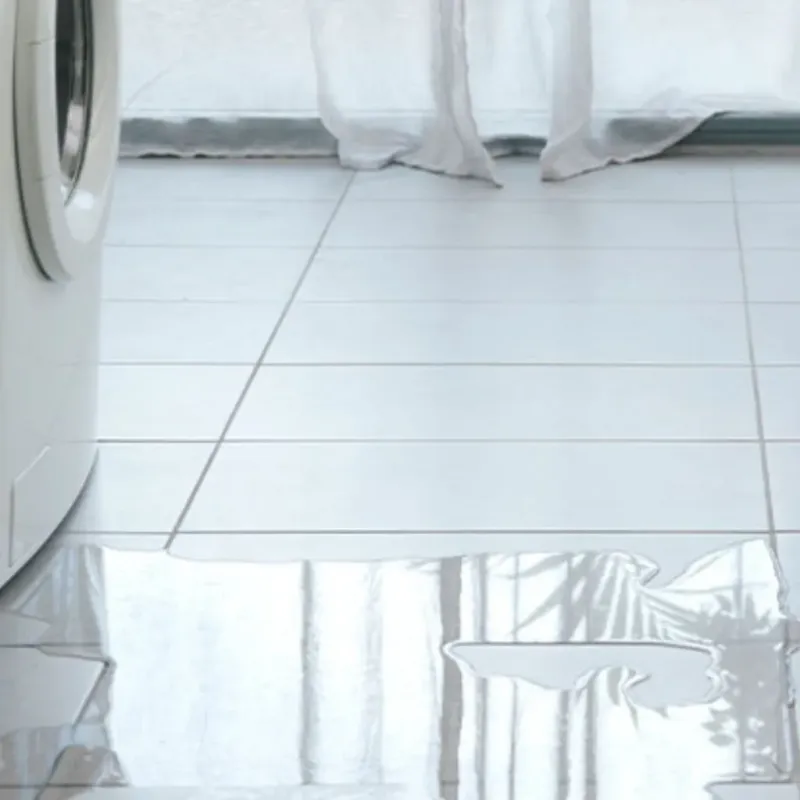 Appliance Leak Cleanup in Cherry Valley, IL