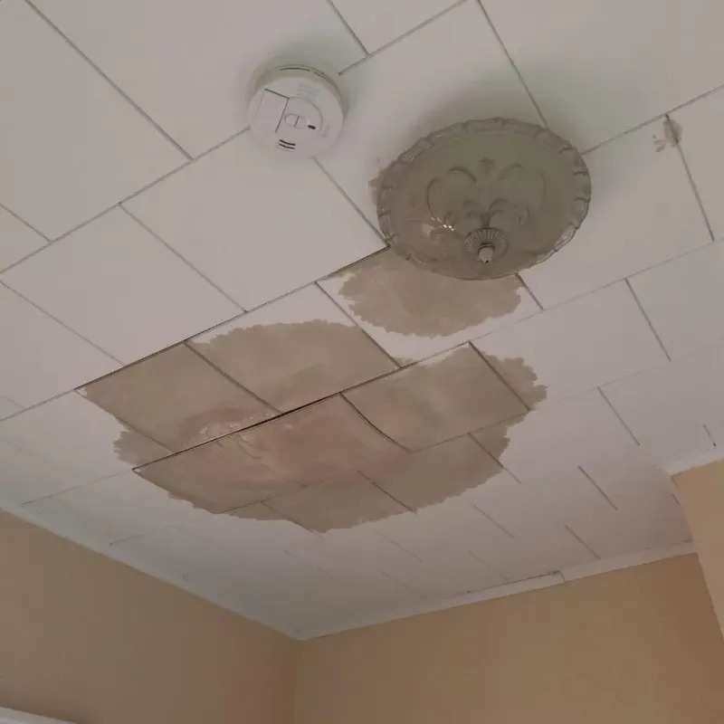 Ceiling Water Damage Repair in Cherry Valley, IL