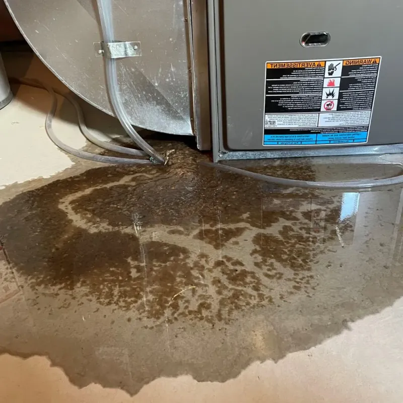 Pipe Burst and Leak Restoration in Cherry Valley, IL