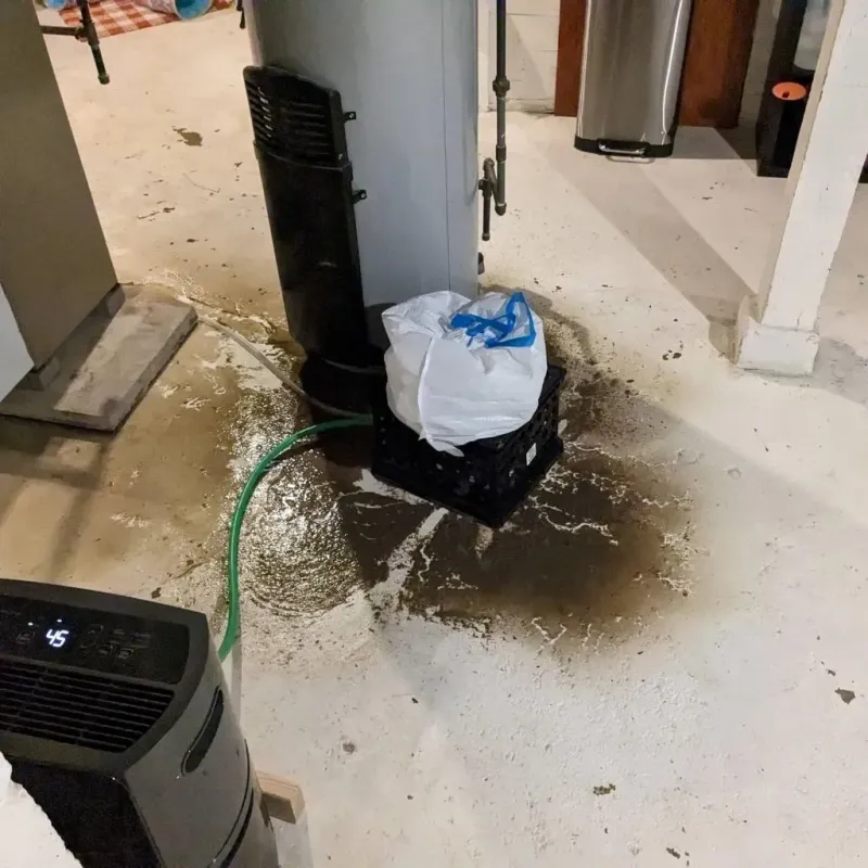 Sewage Backup Cleanup Service in Cherry Valley, IL